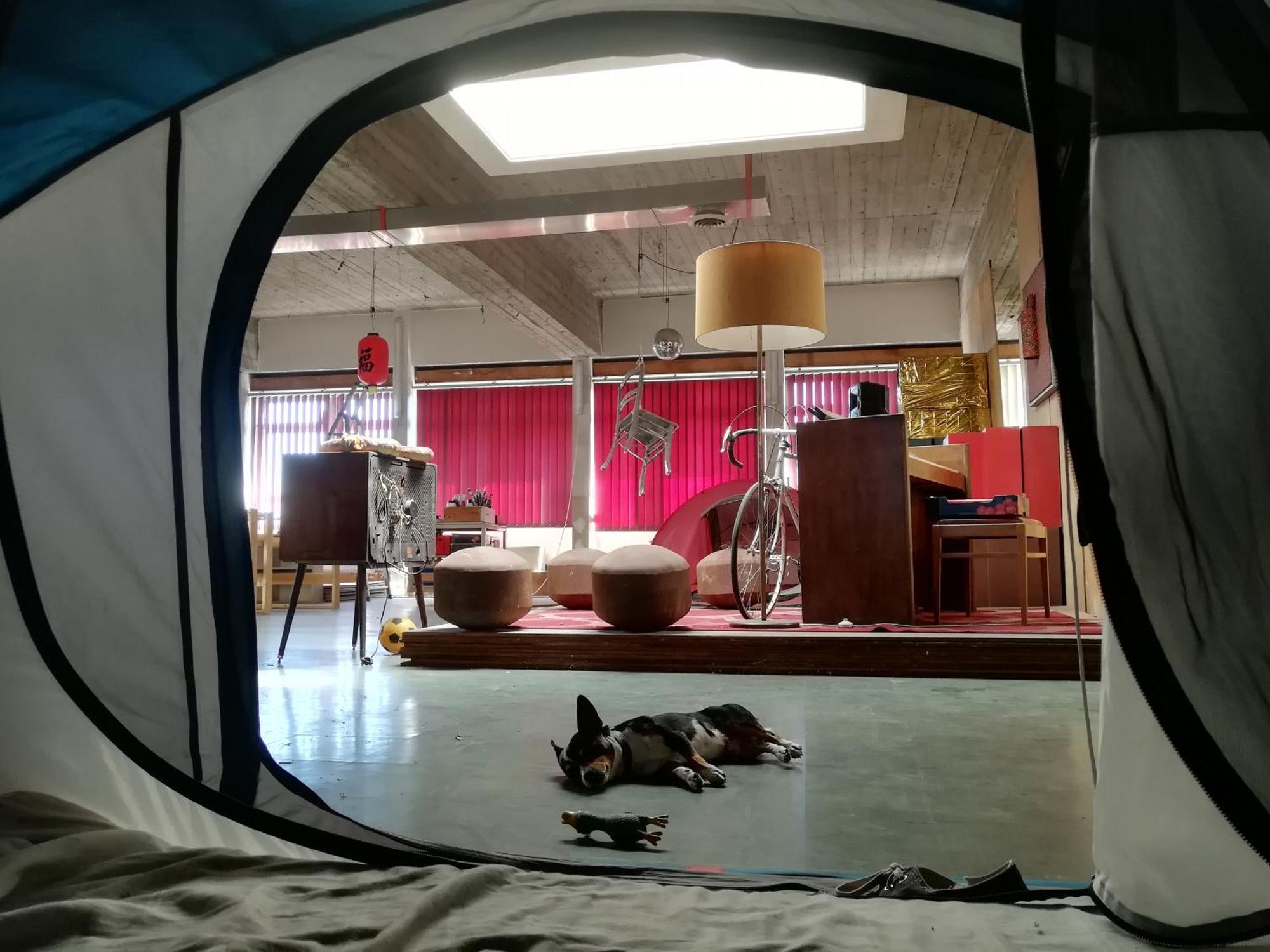 Ghostel 1St - Aventure Alternative - Guest House - Arts-Factory-Experience - For Artists, Makers And Open Minds - Attention, We Are Not A Hotel And Are Not Adapted For Everybody - Read Host Warnings Before Reservation - Www,Providence,Be Asbl شارلروا المظهر الخارجي الصورة
